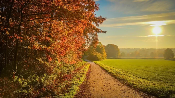 L'automne, le grand gagnant des changements climatiques