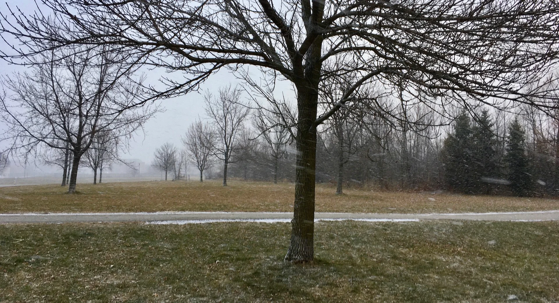 Will Toronto's snow drought endure all of November? Time will tell