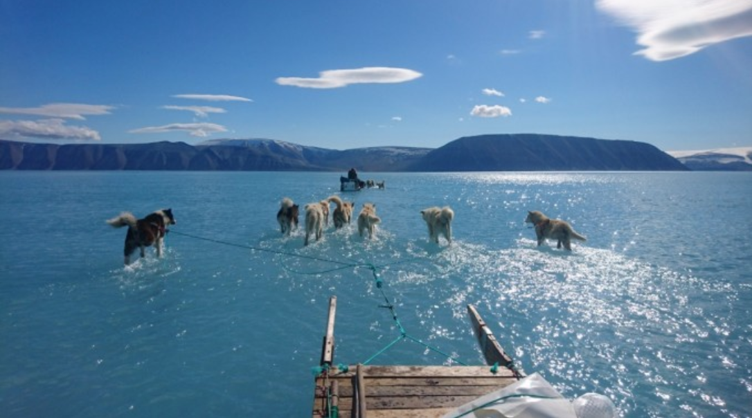 Le Groenland a perdu deux gigatonnes de glace en 24h