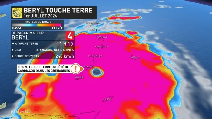 BERYL TOUCHE TERRE