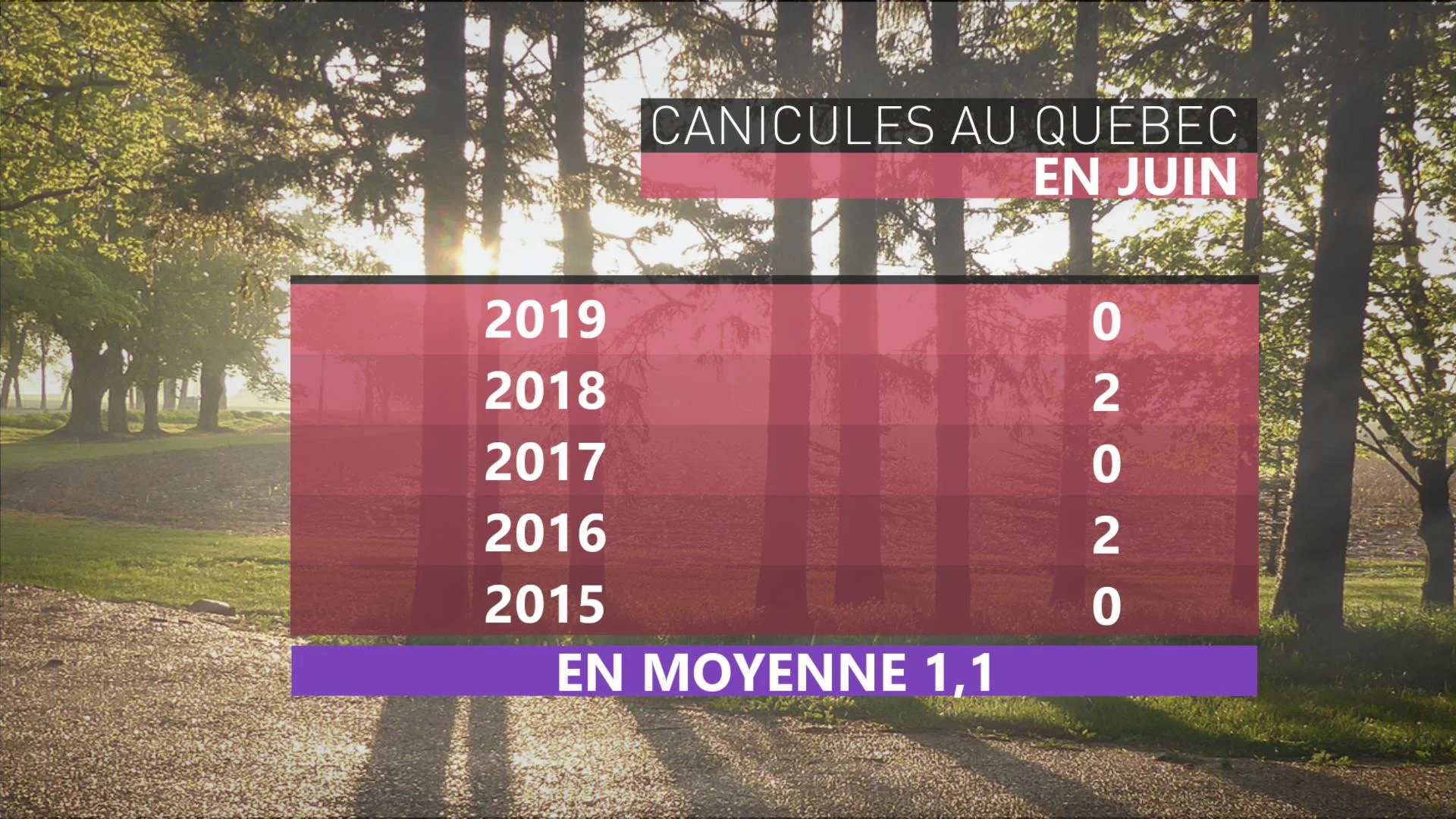CANICULES AU QUÉBEC