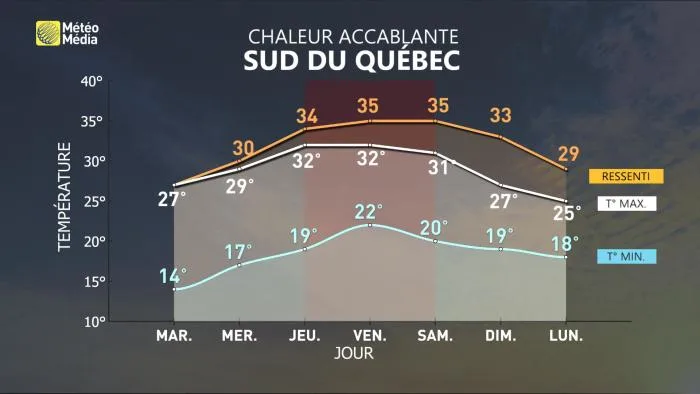 METEOGRAMMES