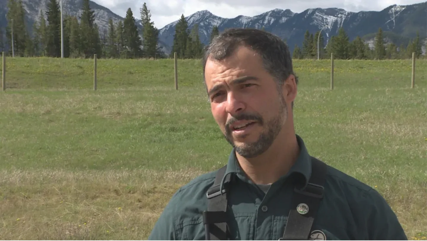 CBC: Dan Rafla is a human-wildlife coexistence specialist with Banff National Park. (Dave Gilson/CBC)