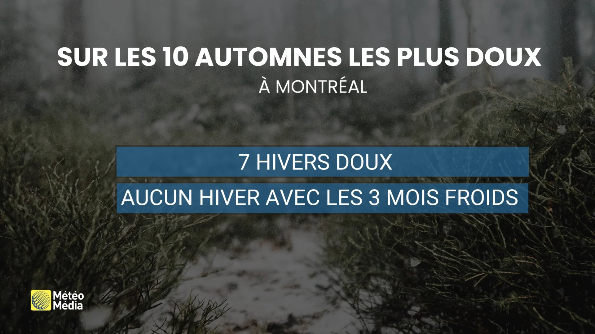 AUT HIVER4