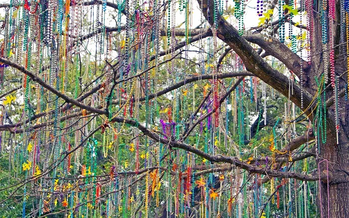 Small beads, big impact: The environmental toll of Mardi Gras