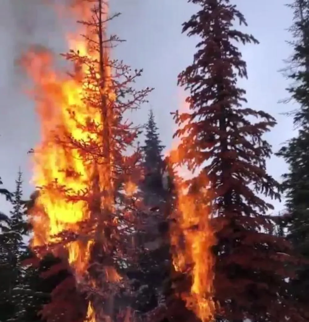 (CBC/MASON DENIS) Kootenay Candle