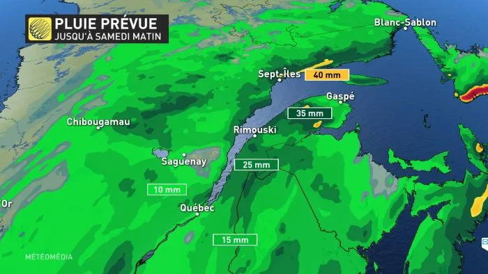 PLUIE PREVUE (1)