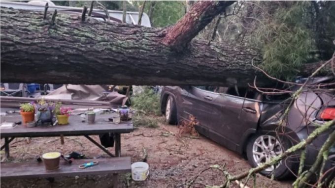 CBC: Ontario Provincial Police say an overnight storm knocked trees down onto campers and vehicles at Caliper Lake Provincial Park overnight Monday. (Submitted by Ontario Provincial Police)