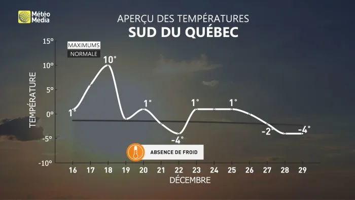 FROID4 (2)