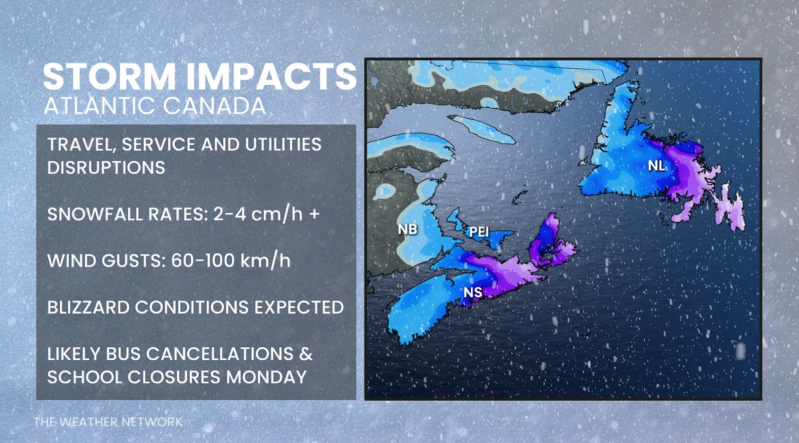 Dangerous Travel, Snow, Whiteout, Storm. Snowfall, Blizzard, Feb. 01, 2026. (The Weather Network/Tyler Hamilton)
