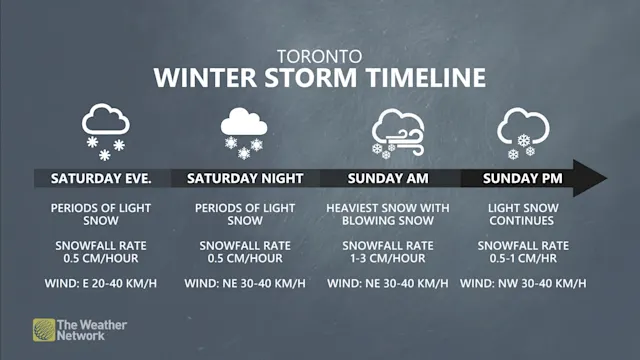 Near-impossible travel as southern Ontario to see 25-40+ cm of snow ...