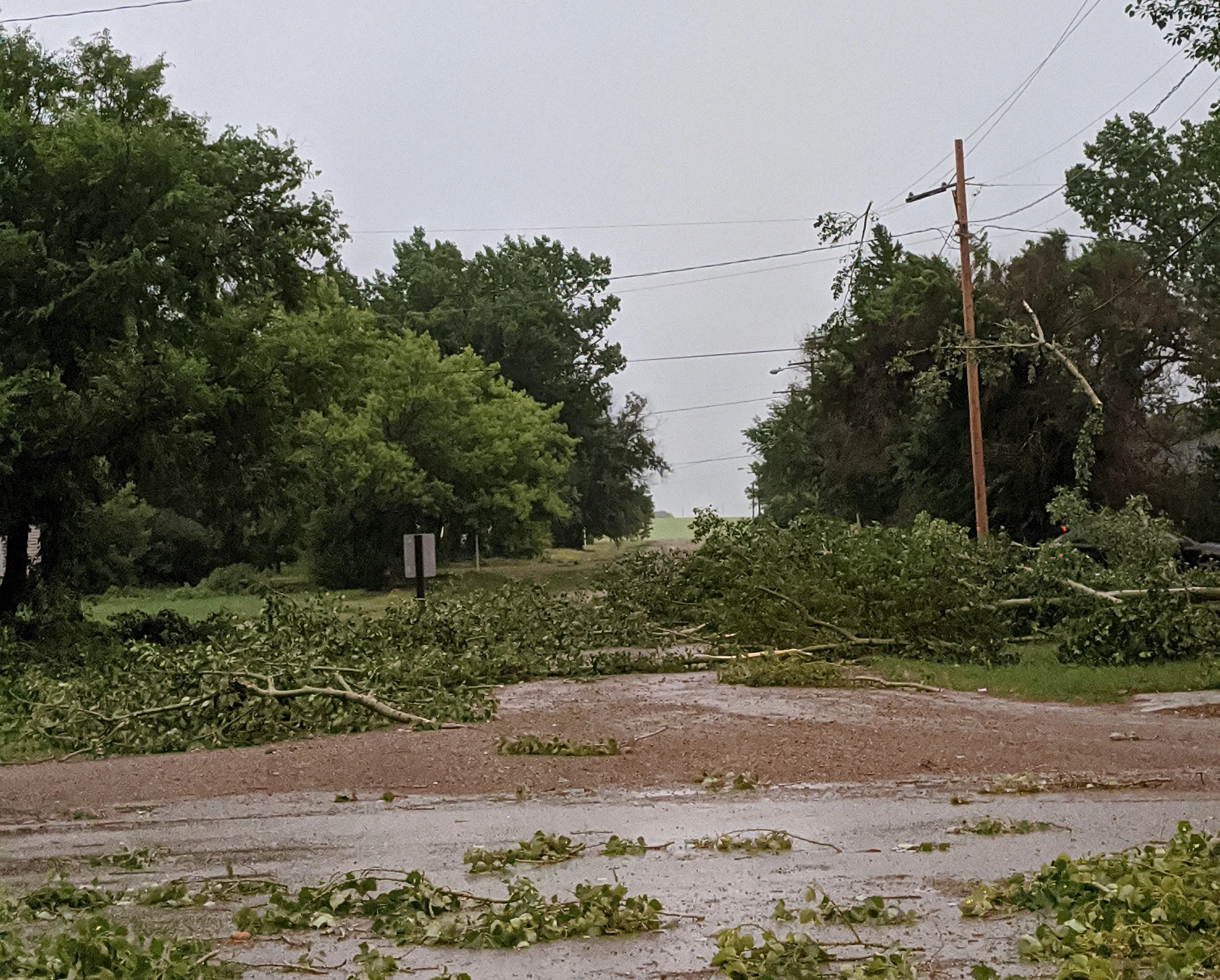 Downed trees sask Kyle Hetherington