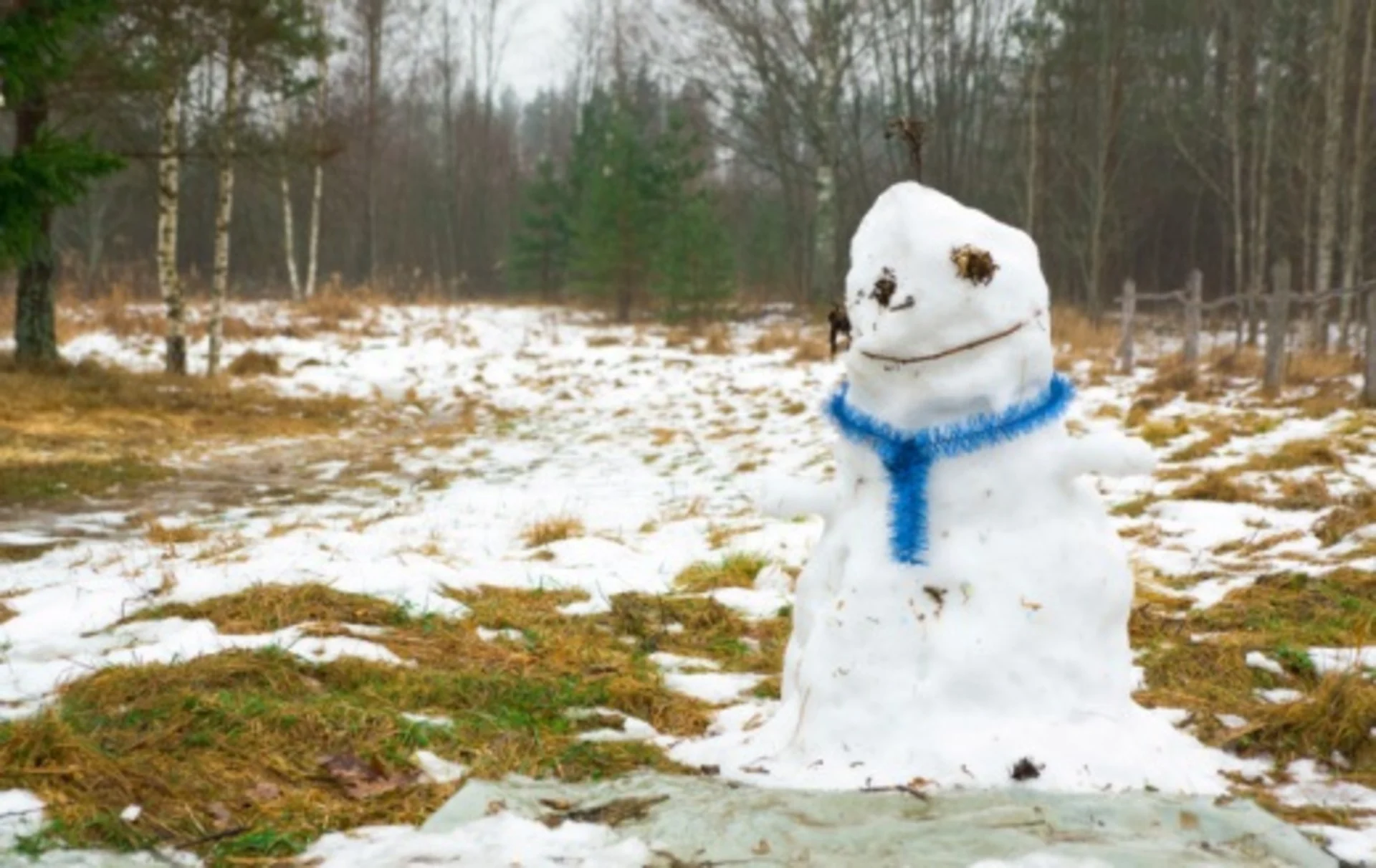 FONTE DE LA NEIGE 3