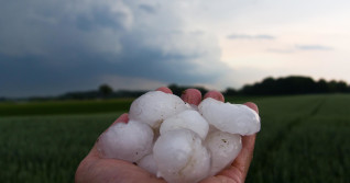Barrage of baseball-size hail destroys crops in southeast Europe