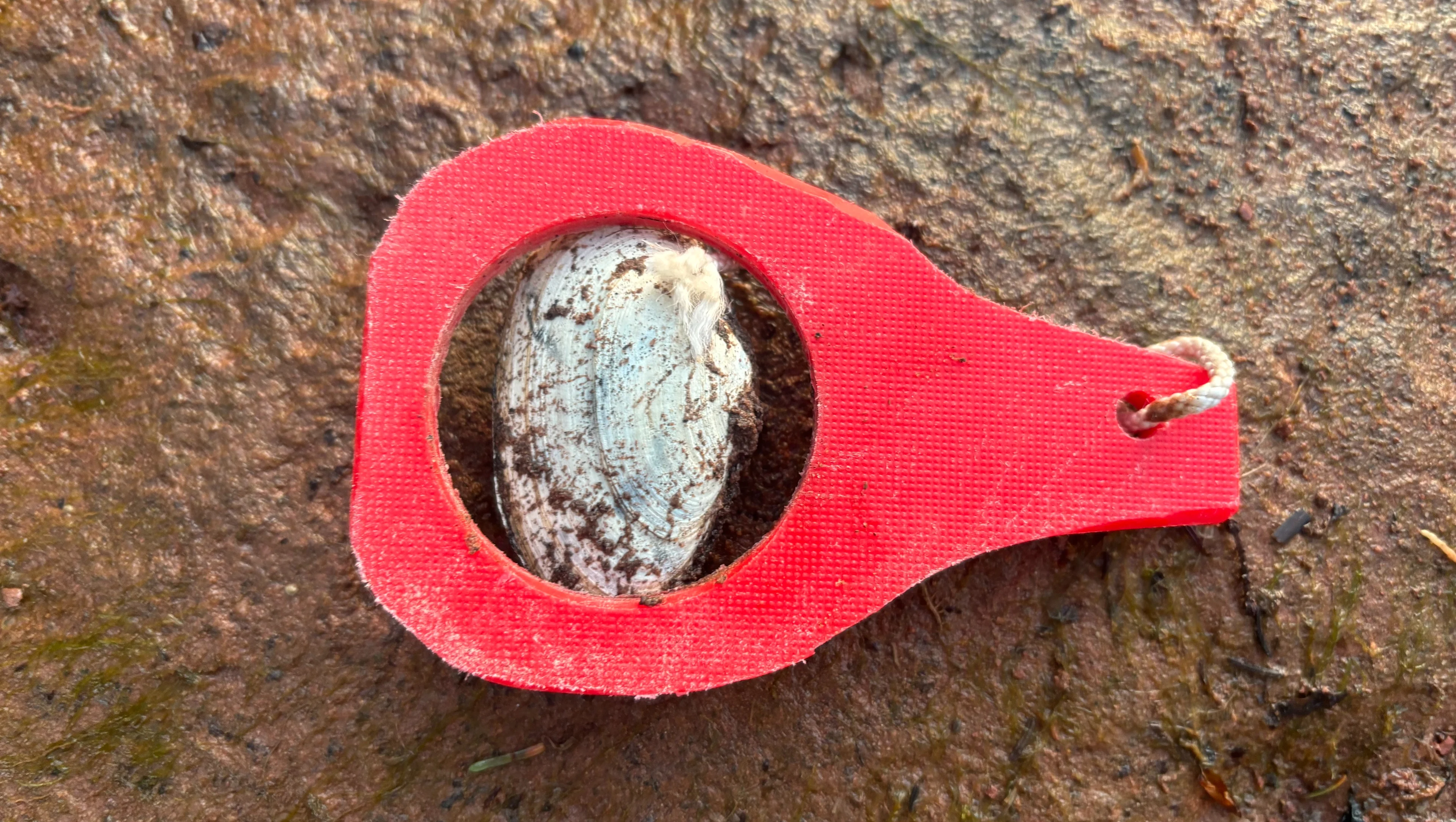 PEI, Clam, Digging, Clams, Family, Summer, Activity, June 4, 2025. (The Weather Network/Nathan Coleman)