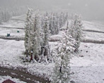 Prairies to go from alpine snow to mid-summer temperatures