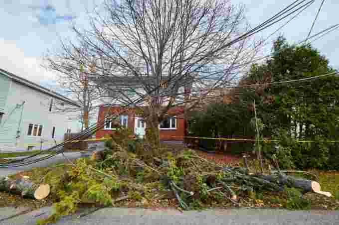 Downed trees Hydro Quebec