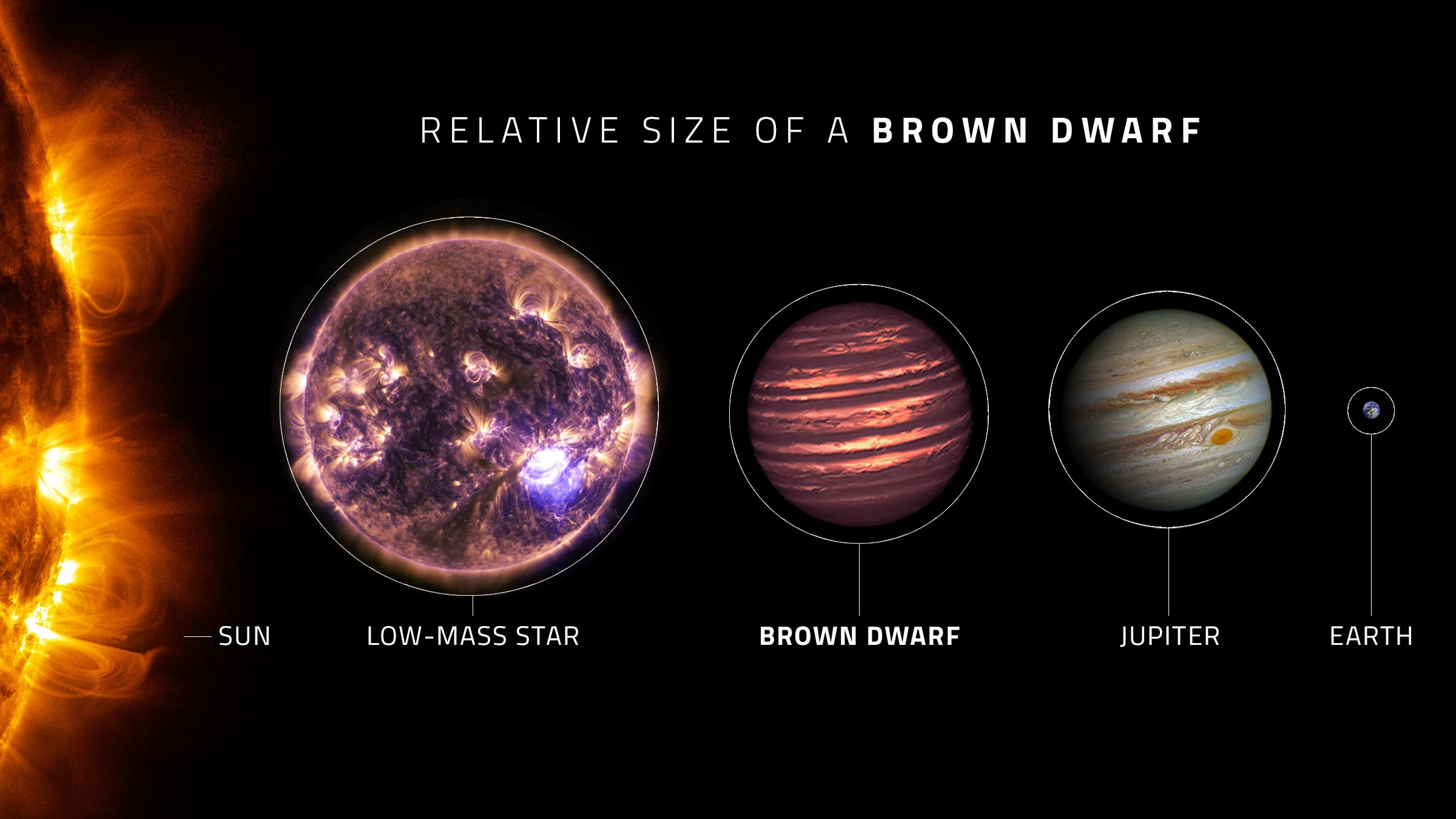 Relative size of a brown dwarf