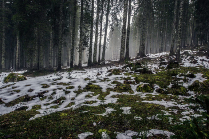 The Weather Network 2x Faster Glaciers Disappear As More Rain