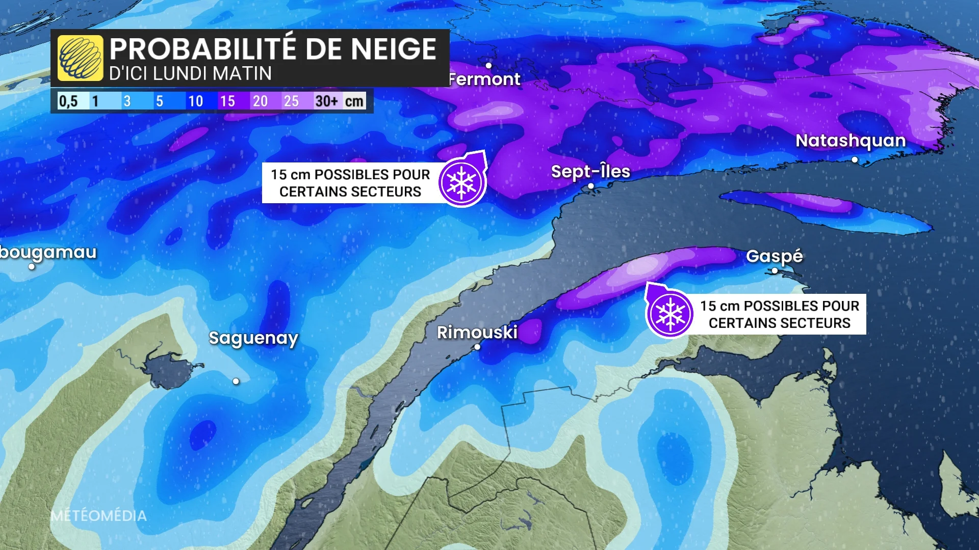 NEIGE1