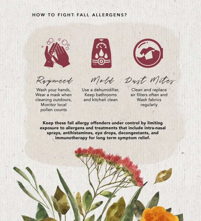 WN Allergies Fall Infographic ENG 3