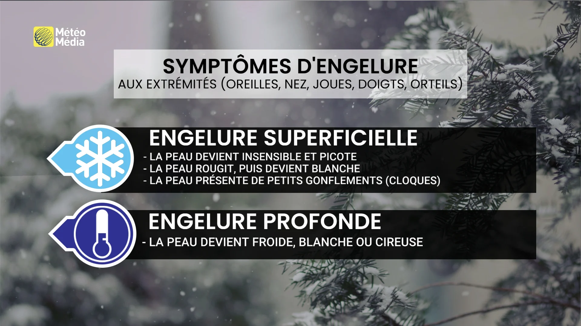 Engelures en hiver : prévention et traitements efficaces