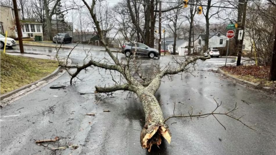 Over 36,000 without power as wet weather, high winds blast Nova Scotia