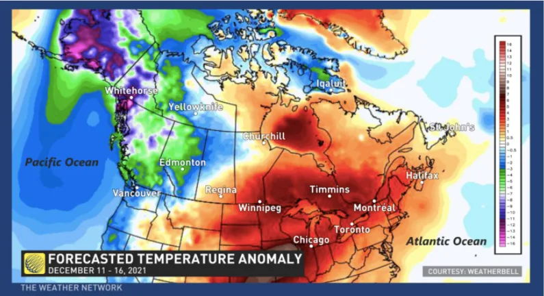 Forecasted temperature anomaly