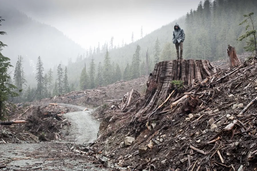 Photographer captures stunning—and heartbreaking—views on Vancouver Island