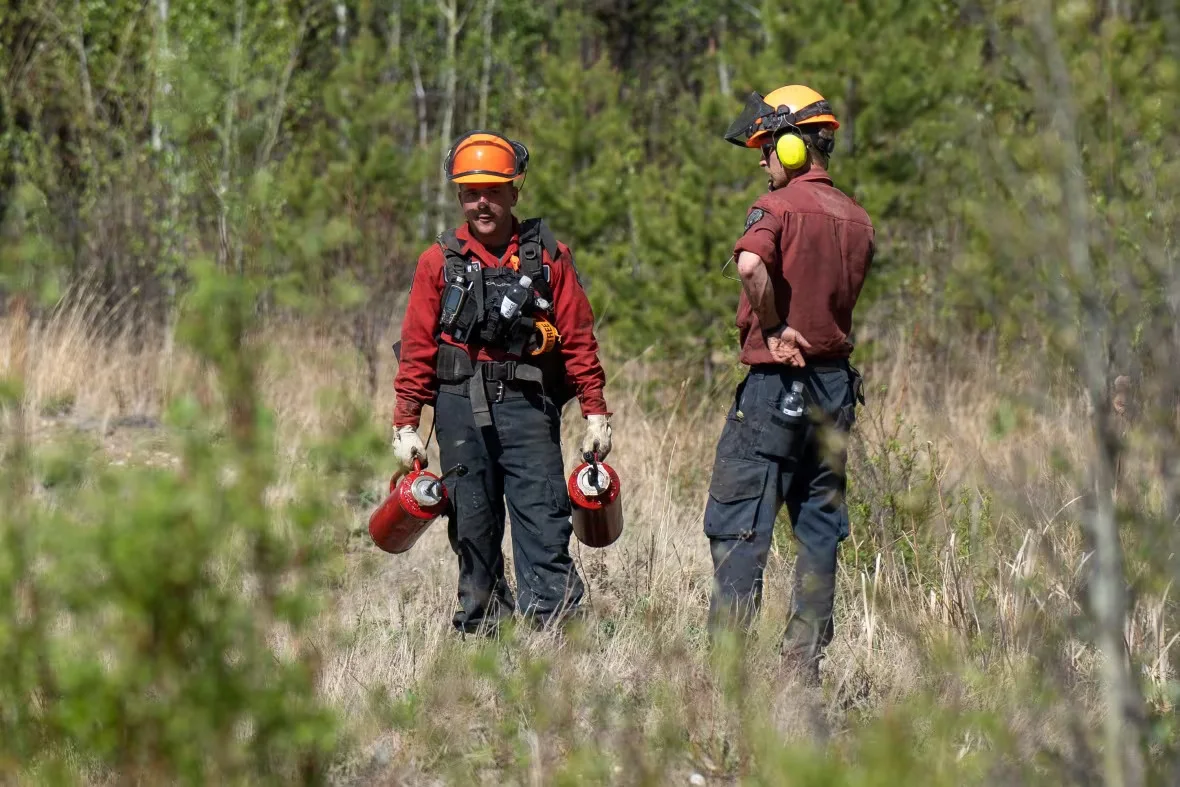 CBC: boundary-lake-planned-ignition (Adam Buchanan/BC Wildfire Service)