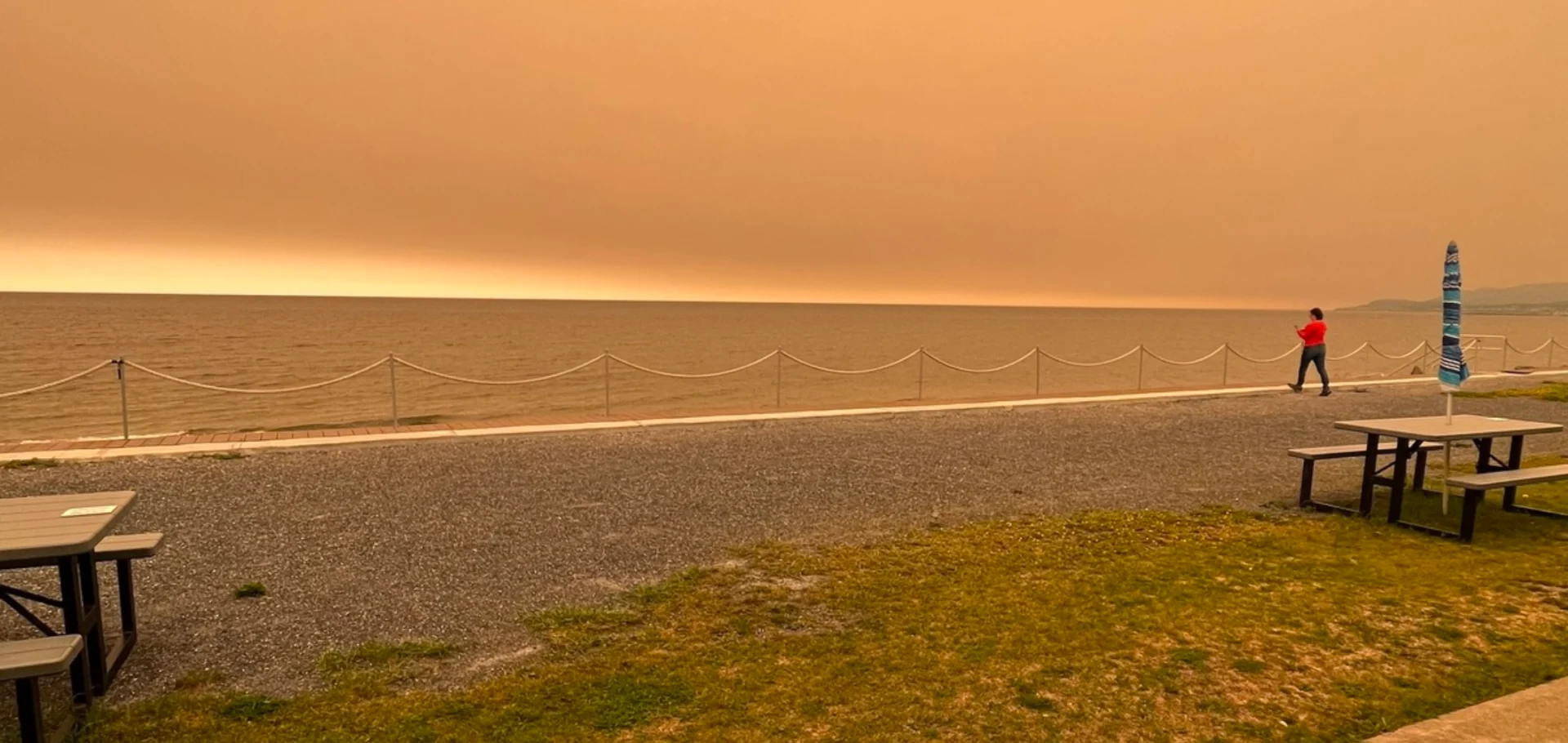 Les feux de forêt ont aussi un impact sur les lacs