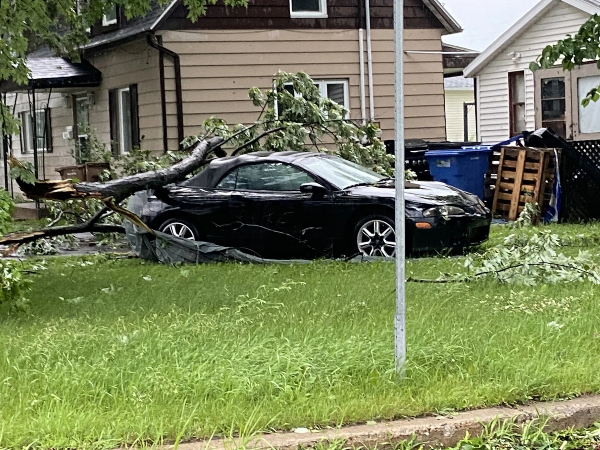 Joey Olivier - MeteoMedia - UGC: Downed trees in Sorel-Tracy is a city in southwestern Quebec. July 13, 2023