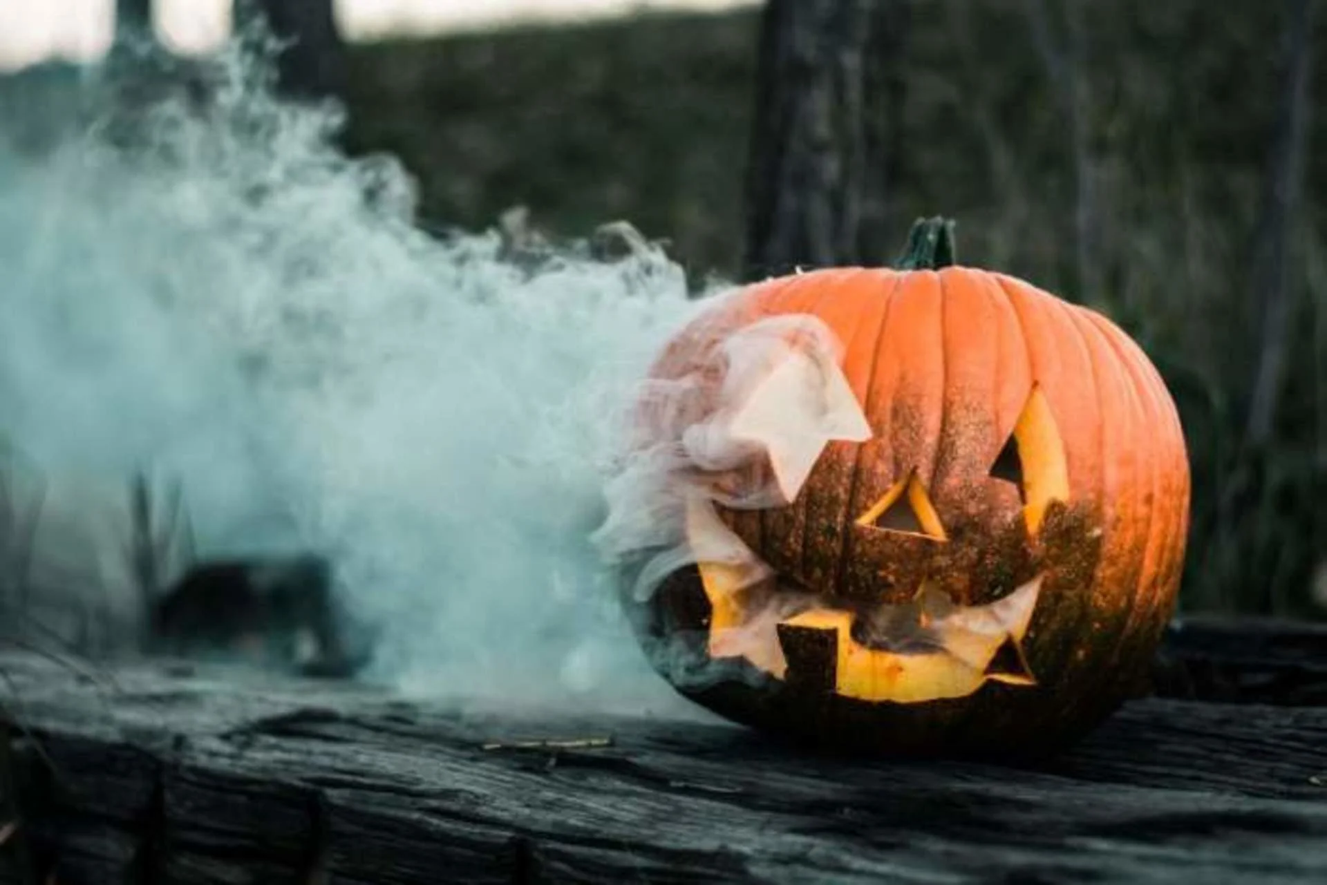 Halloween 2019 : la pire tempête de l'histoire 