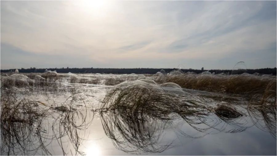 'Land of the spiders' discovered on New Brunswick lake - The Weather ...