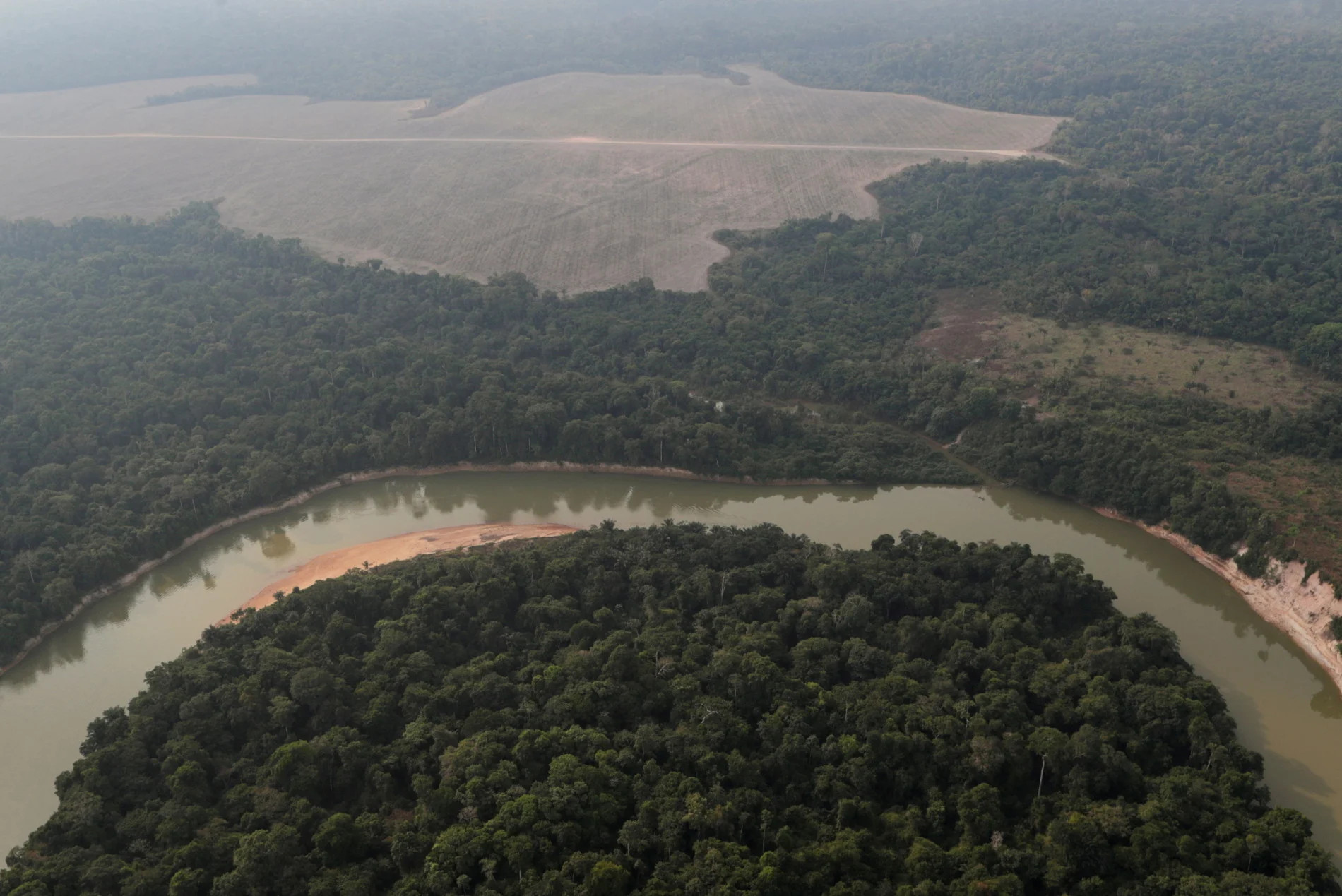 Deforestation in Brazil's Amazon rainforest rises for fourth straight month