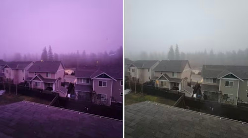 Purple haze, don't know why? Here's the science behind the