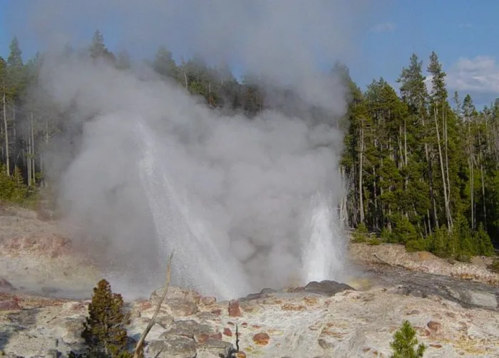 Man fined for trying to fry chicken in Yellowstone hot spring