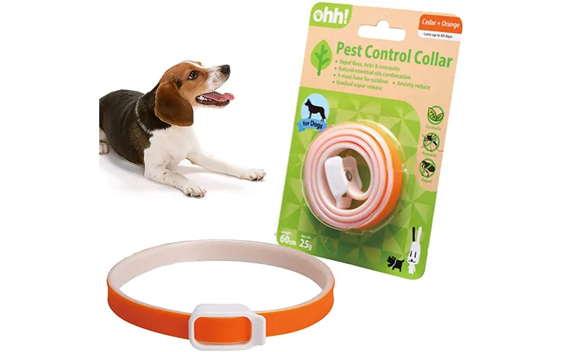 22-03-30 PEt Oil Collar Amazon