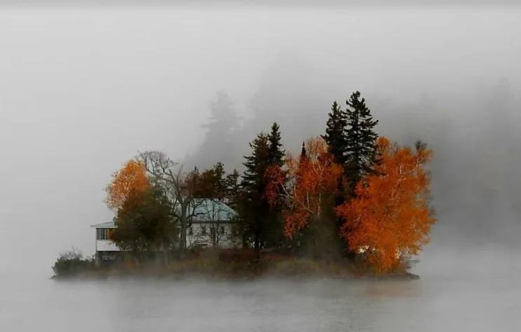 Gatineau's fall migration seen through a camera lens