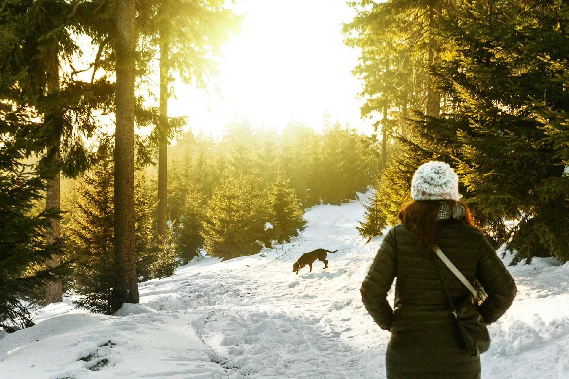 NEIGE JAUNE 2