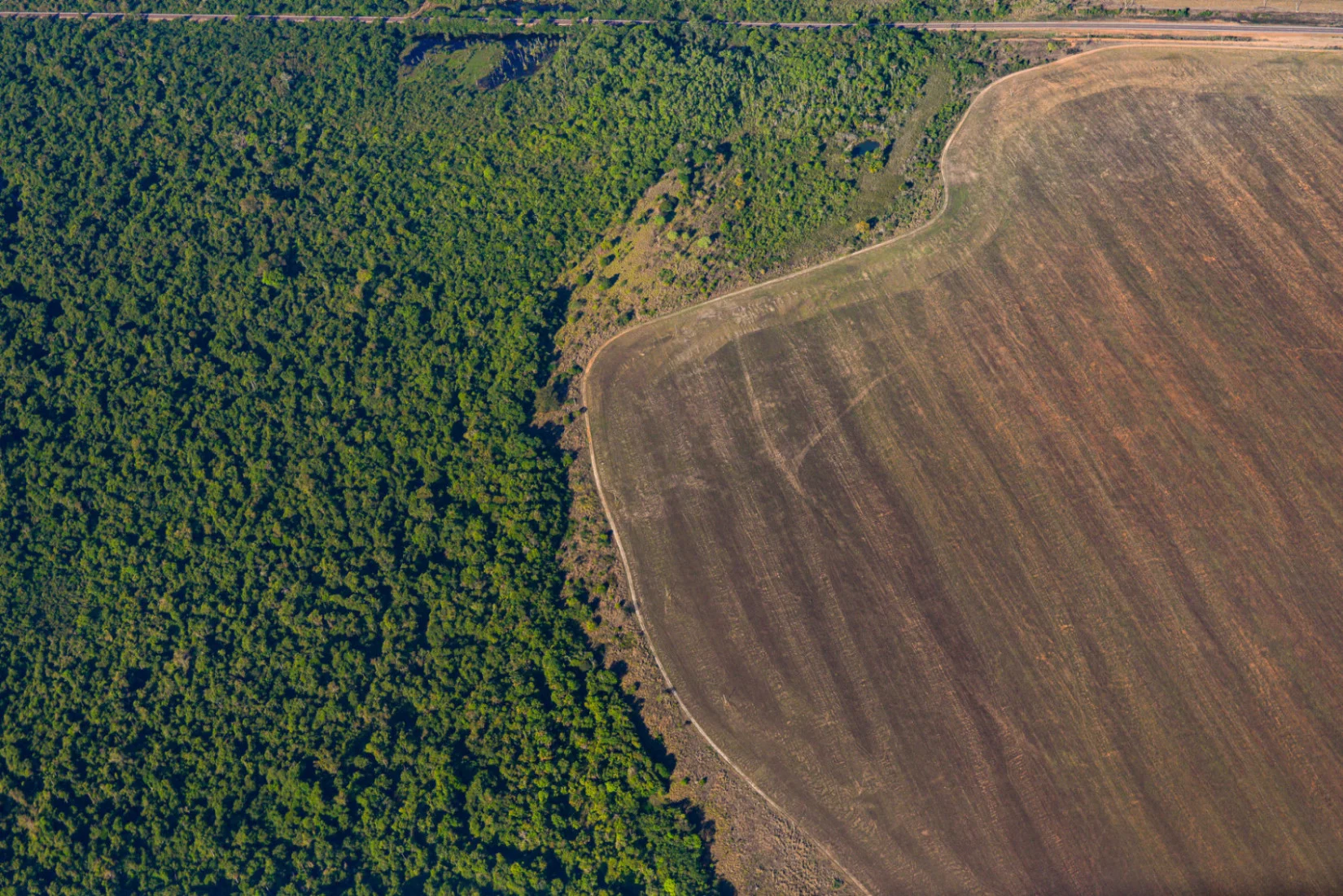 The Amazon has emitted more carbon than it absorbed since 2010, study says