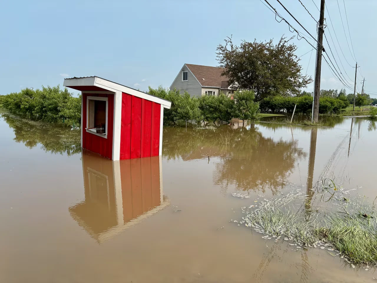 Flooding roadside fruit stand Niagara/Paul Forsyth/CBC