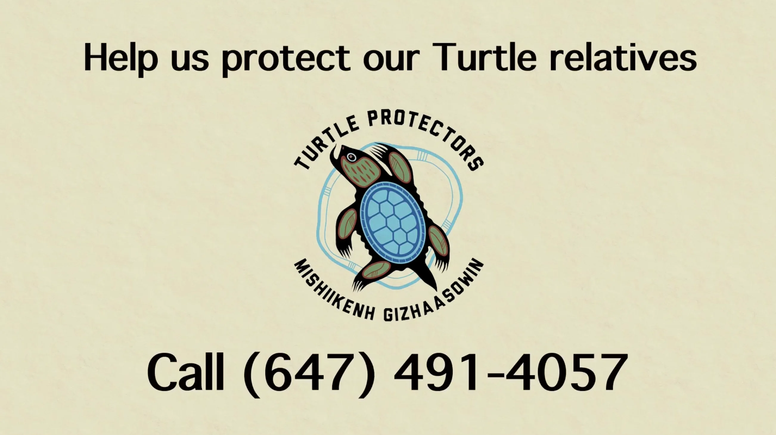 Turtle Protectors hotline