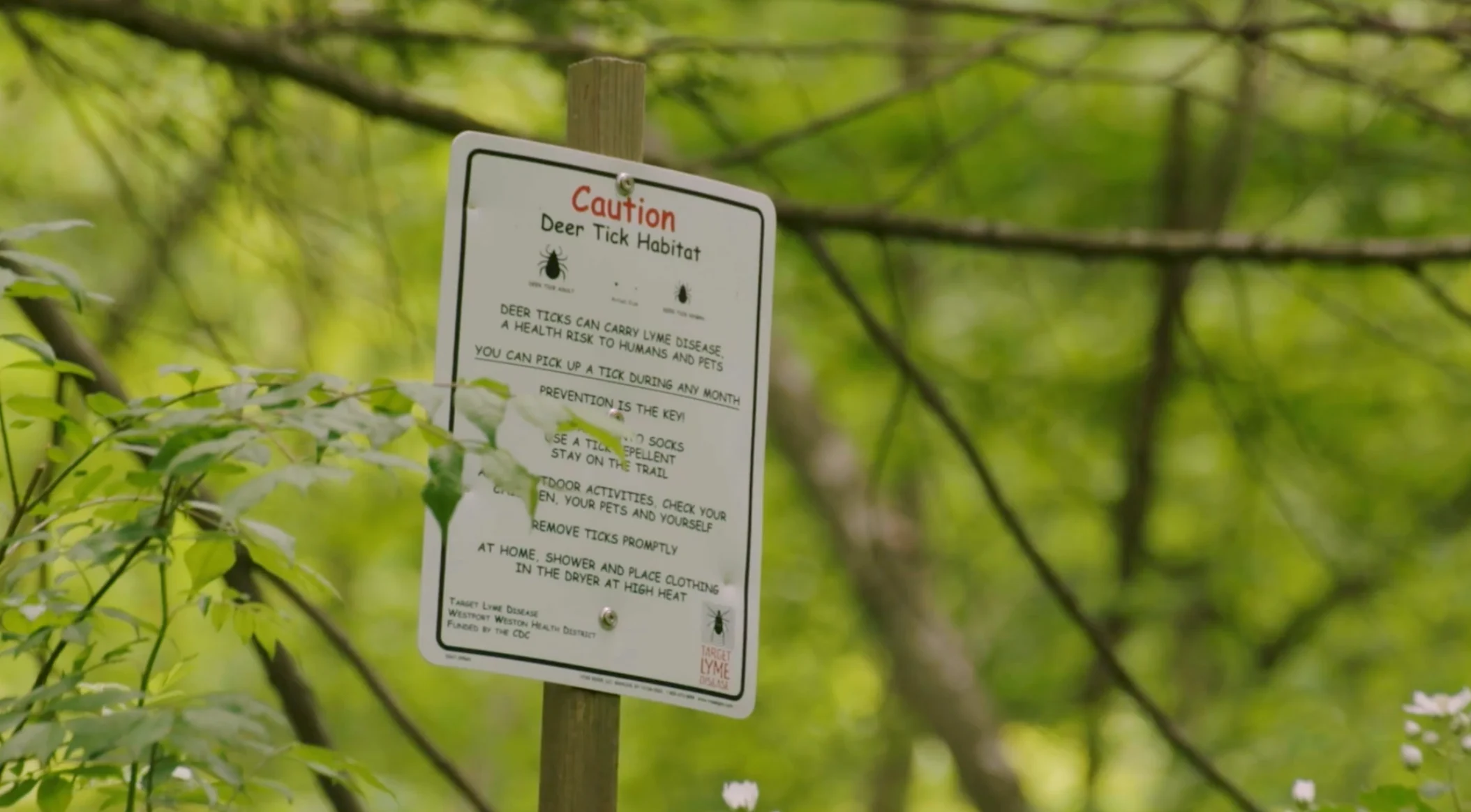 Mia Gordon: Tick awareness sign