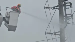 Why salt may have caused that power outage