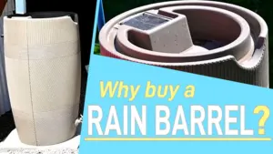 Up your gardening game with a rain barrel