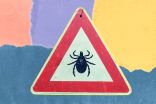 Medical experts publish new guidelines in hopes of reducing tick-borne illness