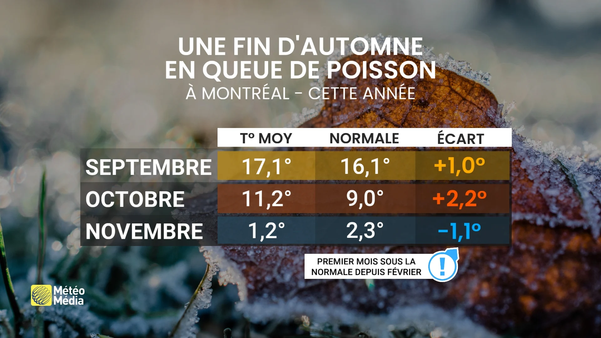 BILAN1 (1)