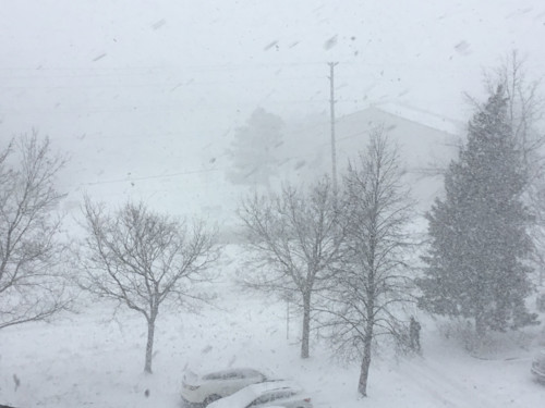 PHOTOS: Snow Squalls Remnant Of Winter Storm Bury Parts Of Southern ...