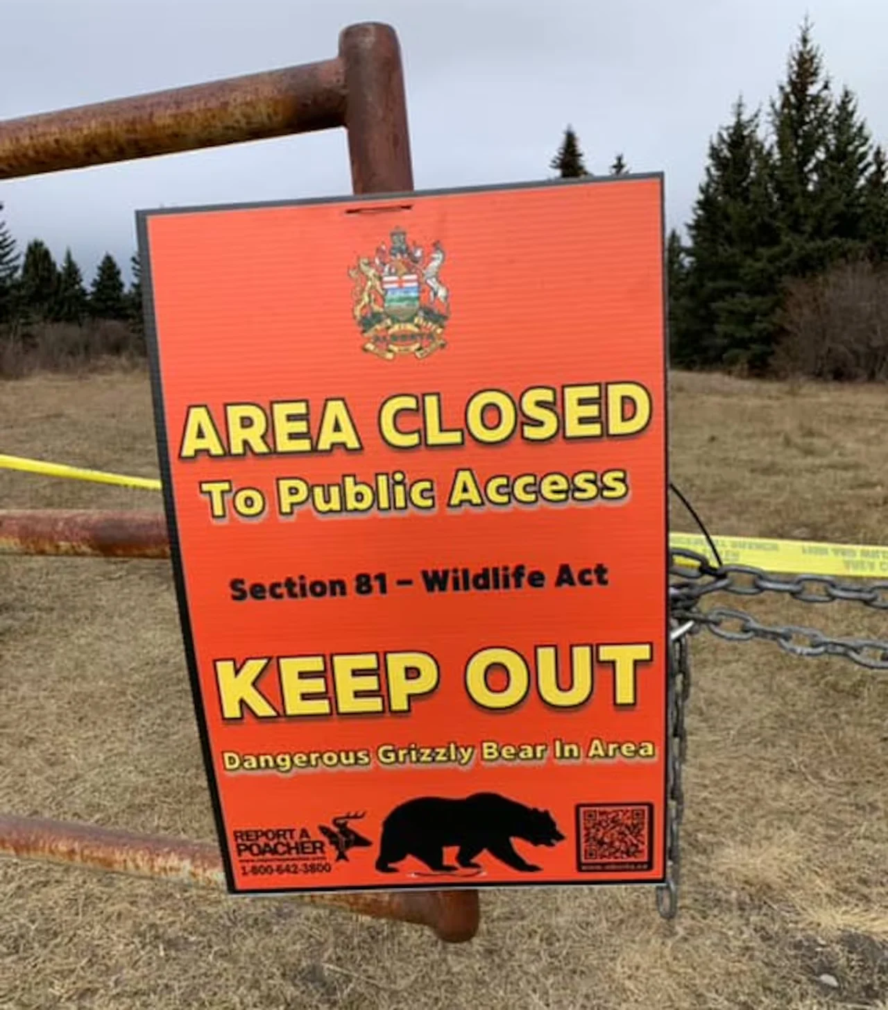 Alberta, Bear, Keep Out, Sign, November 02, 2025. (Submitted to CBC News by Mike Reece)